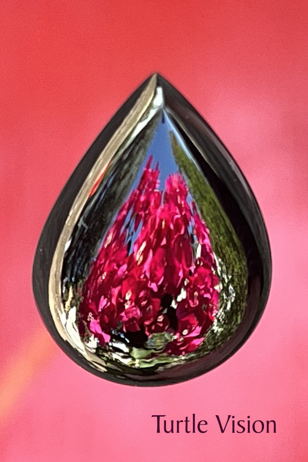 Mirror finished jade, 17mm tall black jade teardrop. Reflection of flowers in Papa Johns Garden, Burbank, Califorina.