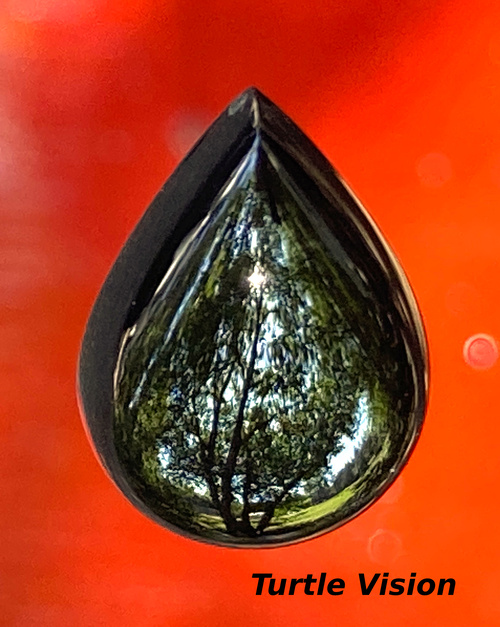 Mirror finished jade, 17mm tall black jade teardrop, Reflection of a small park. California gold country town.